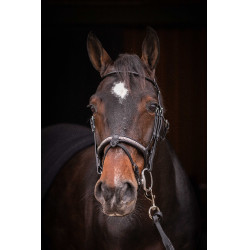 Cabezada PENELOPE - Symphonie SR - Negro