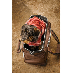 Bolsa de cuidado con ruedas EQUITHEME Castaño Marr&amp;oacute;n
