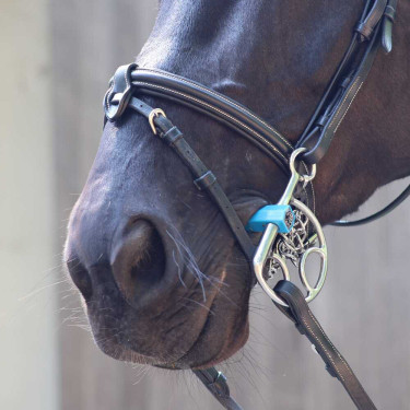 Muserola española Metalab Flexi recta Azul