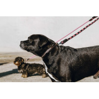 Correa para perro con asa EQUITHÈME - Haspen Negro / empuñadura frambuesa Correa para perro con asa EQUITHÈME - Haspen Negro / empuñadura frambuesa
