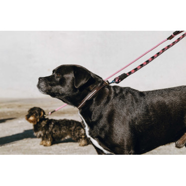 Correa para perro con asa EQUITHÈME - Haspen Negro / empuñadura frambuesa