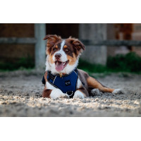 Arnés para perros RIDING WORLD - Simba Marino Azul marino