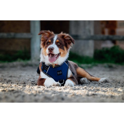 Arnés para perros RIDING WORLD - Simba Marino Azul marino