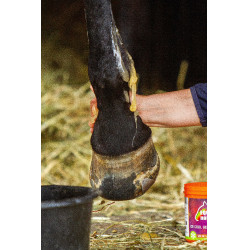 EQUINATURA Gel refrigerante