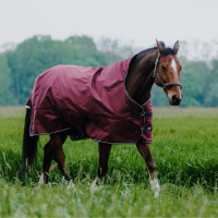 Manta Equithème TYREX 1200D High Neck Burdeos Manta Equithème TYREX 1200D High Neck Burdeos