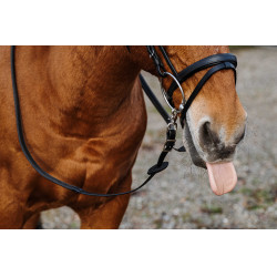 Riendas de goma NORTON TRAINING PVC Negro