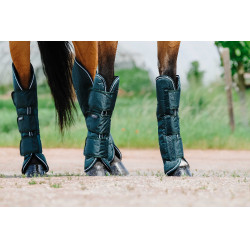 Protectores de transporte Equithème - TYREX 600D Verde Protectores de transporte Equithème - TYREX 600D Verde