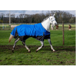 Cobertura Equithème Tyrex Aisance 1200D Azul real
