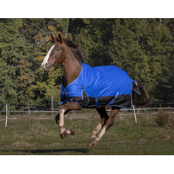 Cobertura Equithème Tyrex Aisance 1200D Azul real