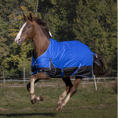 Cobertura Equithème Tyrex Aisance 1200D Azul real