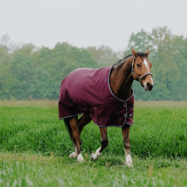 Manta Equithème - TYREX 1200D Burdeos