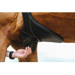 Cincha con babero Magnet Norton Negro