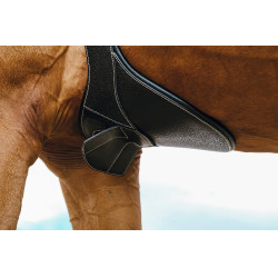 Cincha con babero Magnet Norton Negro