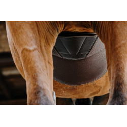 Cincha con babero Magnet Norton Havana Marrón