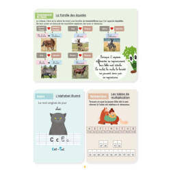 Mi Cuaderno de Actividades - Nivel CM2 LAVAUZELLE Mi Cuaderno de Actividades - Nivel CM2 LAVAUZELLE