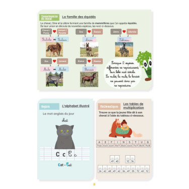 Mi Cuaderno de Actividades - Nivel CM2 LAVAUZELLE Mi Cuaderno de Actividades - Nivel CM2 LAVAUZELLE