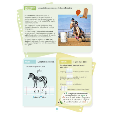 Mi Cuaderno de Actividades - Nivel CE2 LAVAUZELLE