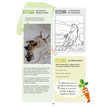 Mi Cuaderno de Actividades - Nivel CE1 LAVAUZELLE