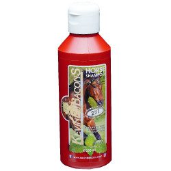 Champú KEVIN BACON'S - Lucy Diamonds