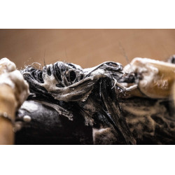 Champú KEVIN BACON'S - Lucy Diamonds