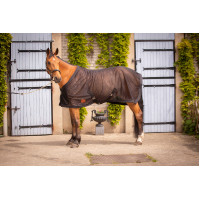 Camisa de malla PADDOCK Negro