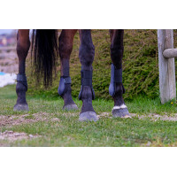 Protectores de tendón RIDING WORLD Negro