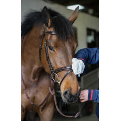 Guantes de limpieza Belvoir® Carr & Day & Martin Tack Cleaner Blanco