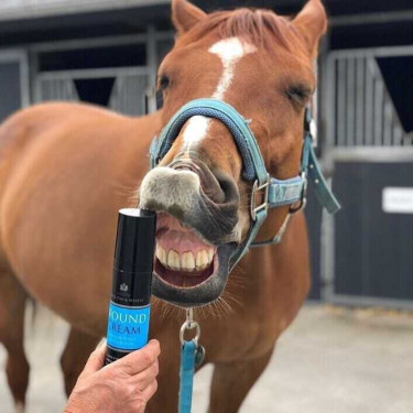 Crema calmante Carr & Day & Martin Wound Cream