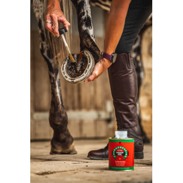 Aceite para cascos Carr & Day & Martin árbol del té