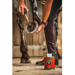 Aceite para cascos Carr & Day & Martin árbol del té