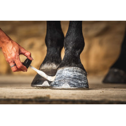 Aceite para cascos Carr & Day & Martin Daily Hoof Moisturiser Cornucrescine