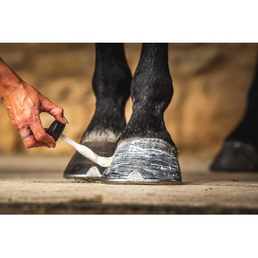 Aceite para cascos Carr & Day & Martin Daily Hoof Moisturiser Cornucrescine