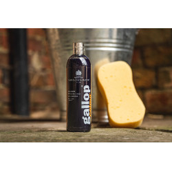 Champú Gallop® Carr & Day & Martin Negro