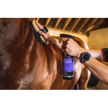 Abrillantador Carr & Day & Martin Dreamcoat