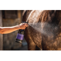 Abrillantador Carr & Day & Martin Dreamcoat