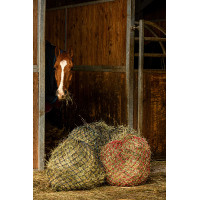 Hooinet Hippotonic Zari