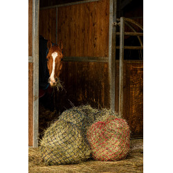 Hooinet Hippotonic Zari