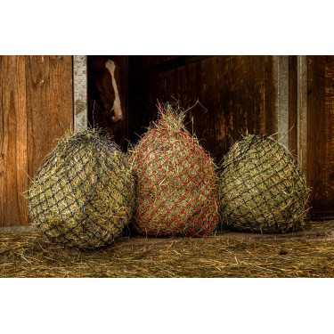 Hooinet Hippotonic Zari Hooinet Hippotonic Zari