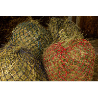 Hooinet Hippotonic Zari