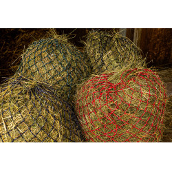 Hooinet Hippotonic Zari