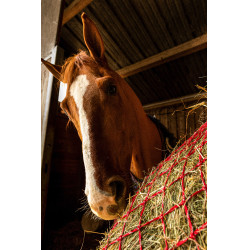 Hooinet Hippotonic Zari Rojo / plateado