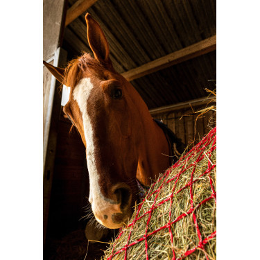 Hooinet Hippotonic Zari Rojo / plateado