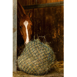 Hooinet Hippotonic Zari Verde / plateado