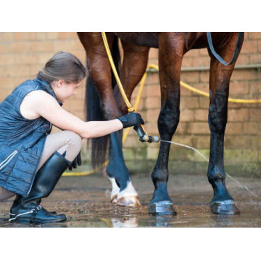 Champú Animaderm Tea Tree