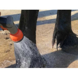 Champú Animaderm Tea Tree