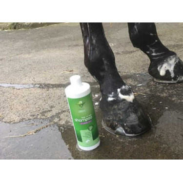 Champú Animaderm Tea Tree