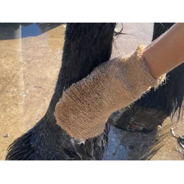 Champú Animaderm Tea Tree