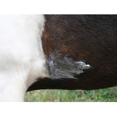 ANIMADERM Natjely Bálsamo ANIMADERM Natjely Bálsamo