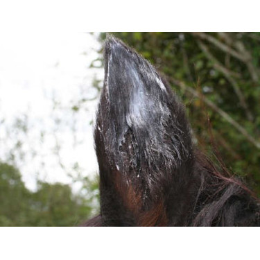 ANIMADERM Natjely Bálsamo ANIMADERM Natjely Bálsamo