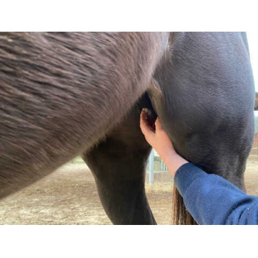 ANIMADERM Natjely Bálsamo ANIMADERM Natjely Bálsamo